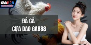 Đá gà cựa dao GA888
