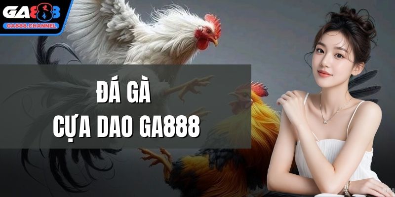 Đá gà cựa dao GA888