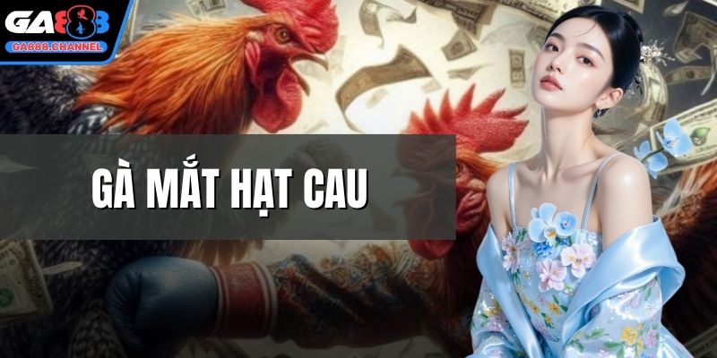 Gà mắt hạt cau