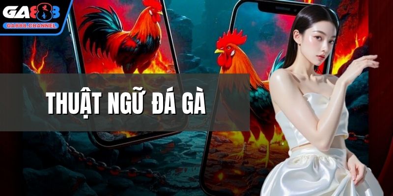 Thuật ngữ đá gà
