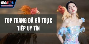 Top trang đá gà trực tiếp uy tín
